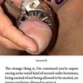 c000003-003.screwed 03