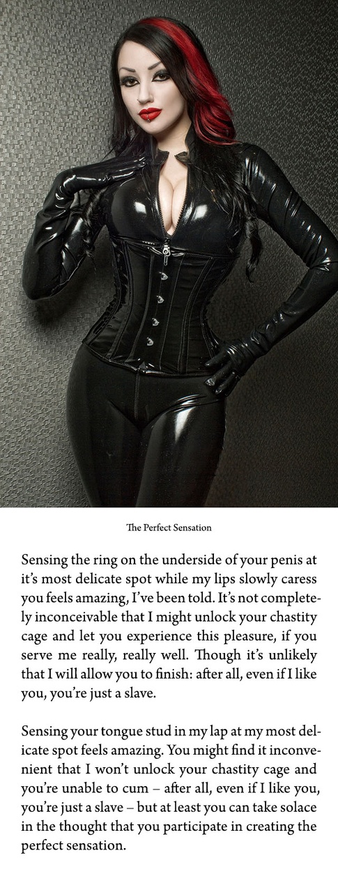 c003246-001.perfect_sensation.jpeg