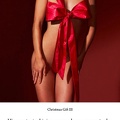 rq-0360-christmas gift 03