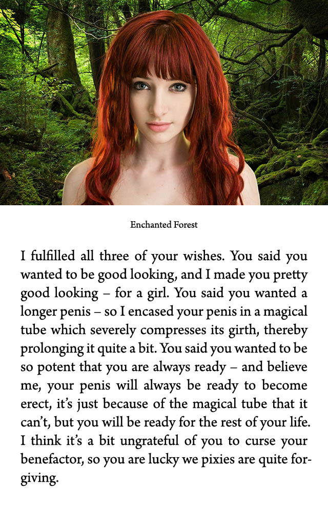 c000031-001.enchanted_forest.jpeg