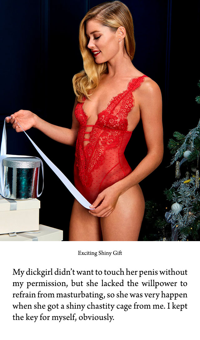 rq-0361-exciting_shiny_gift_01.jpg